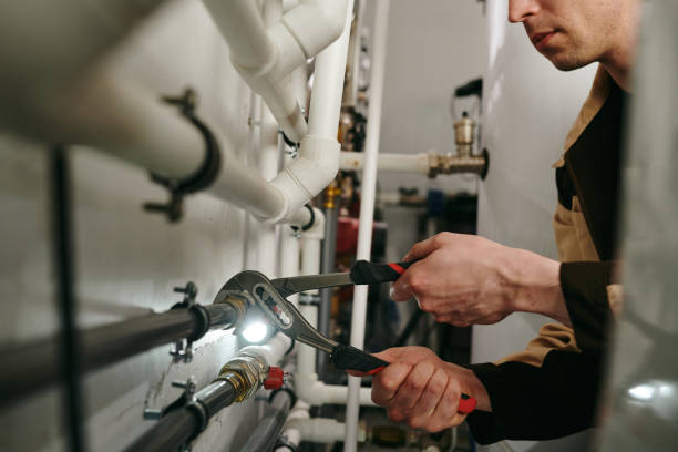 Best Drain Cleaning Services  in Pinckneyvle, IL