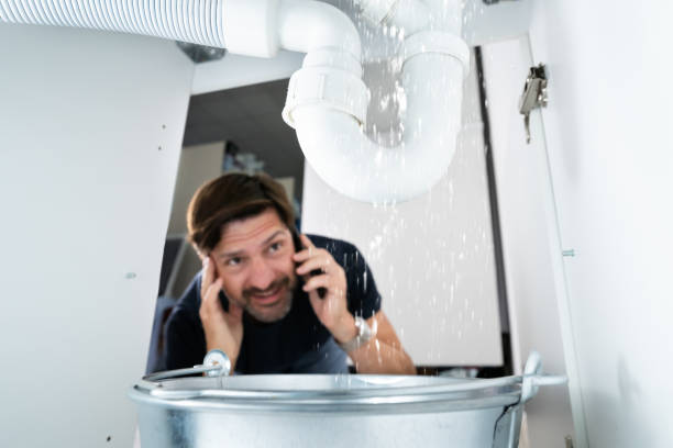 Best 24-Hour Plumber Near Me  in Pinckneyvle, IL