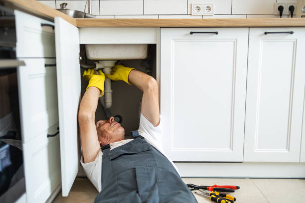 Best Sewer Line Repair  in Pinckneyvle, IL