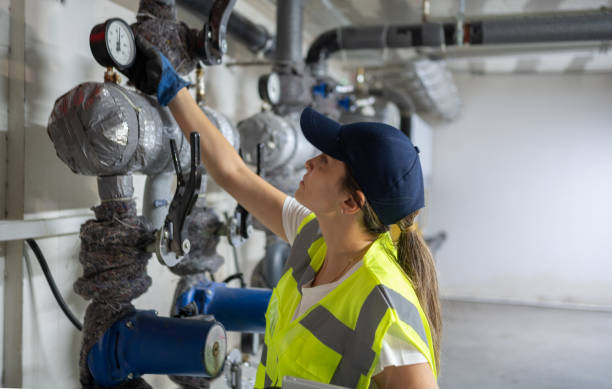Best Clogged Drain Plumber  in Pinckneyvle, IL