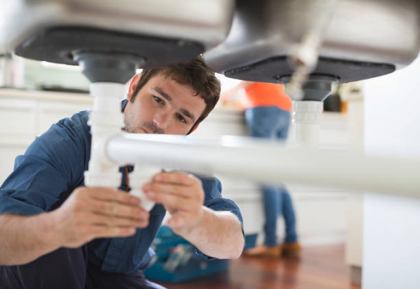 Best Shower Repair Services  in Pinckneyvle, IL