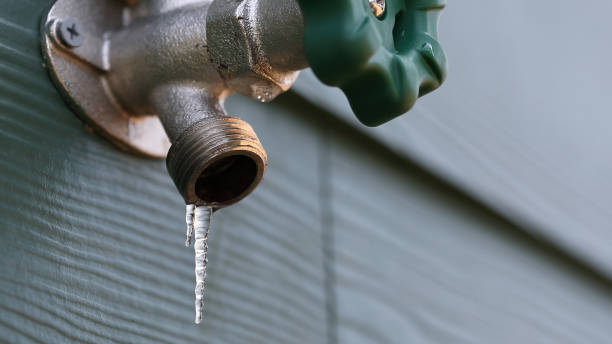 Best Plumbing Services Near Me  in Pinckneyvle, IL
