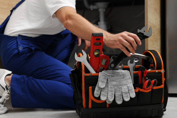 Best Commercial Plumbing Services  in Pinckneyvle, IL