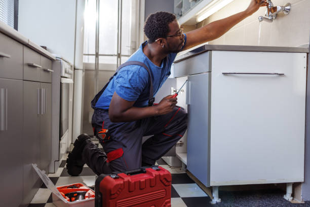 Best Toilet Repair Services  in Pinckneyvle, IL
