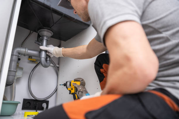 Best Toilet Repair Services  in Pinckneyvle, IL